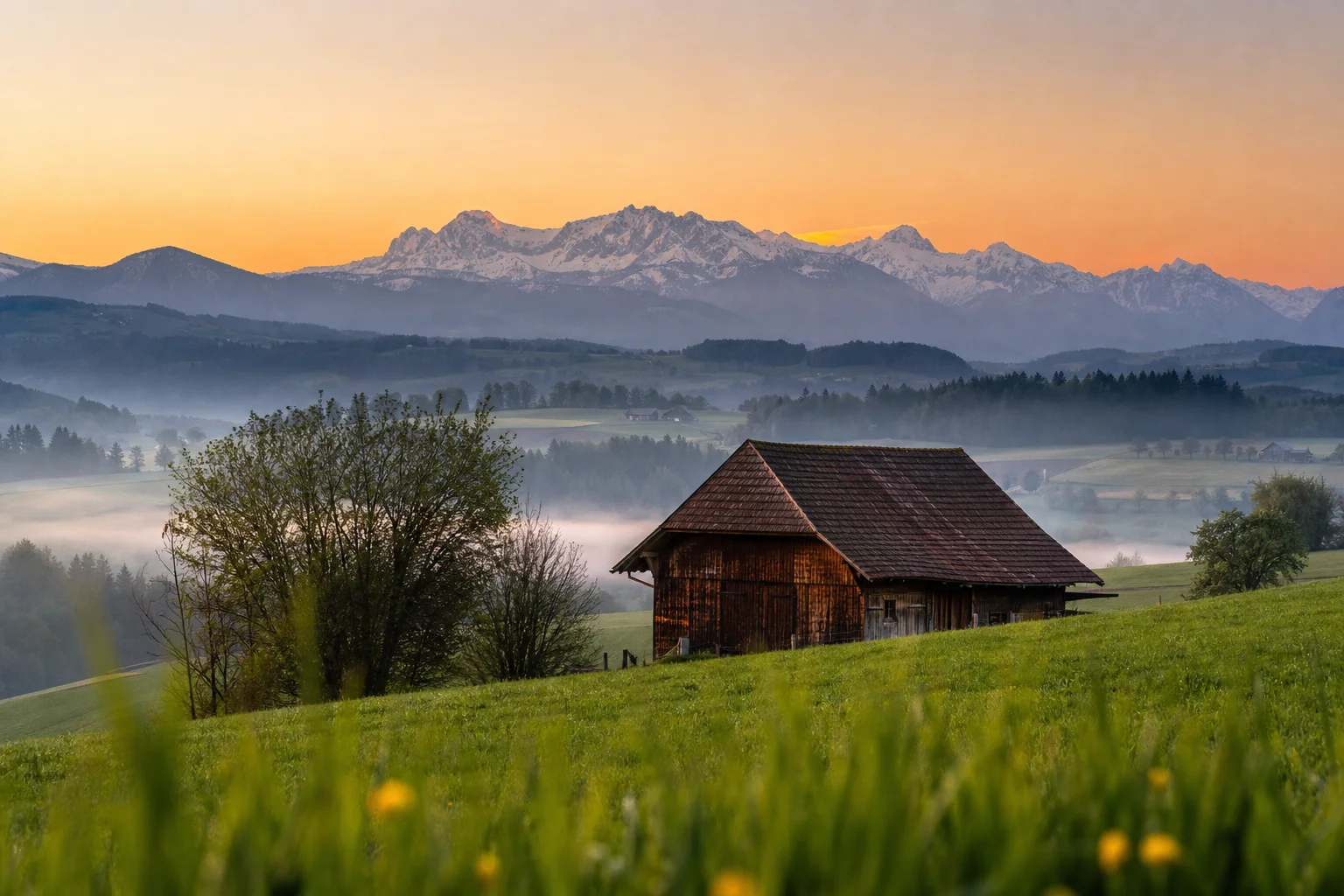 Campagna Belp
